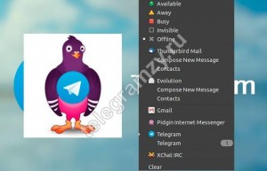 Telegram в Pidgin: настройка Telegram в Pidgin: настройка