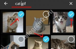 Используем GIF в телеграмм по полной. Самая важная информация. Используем GIF в телеграмм по полной. Самая важная информация.